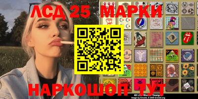 альфа пвп Аргун