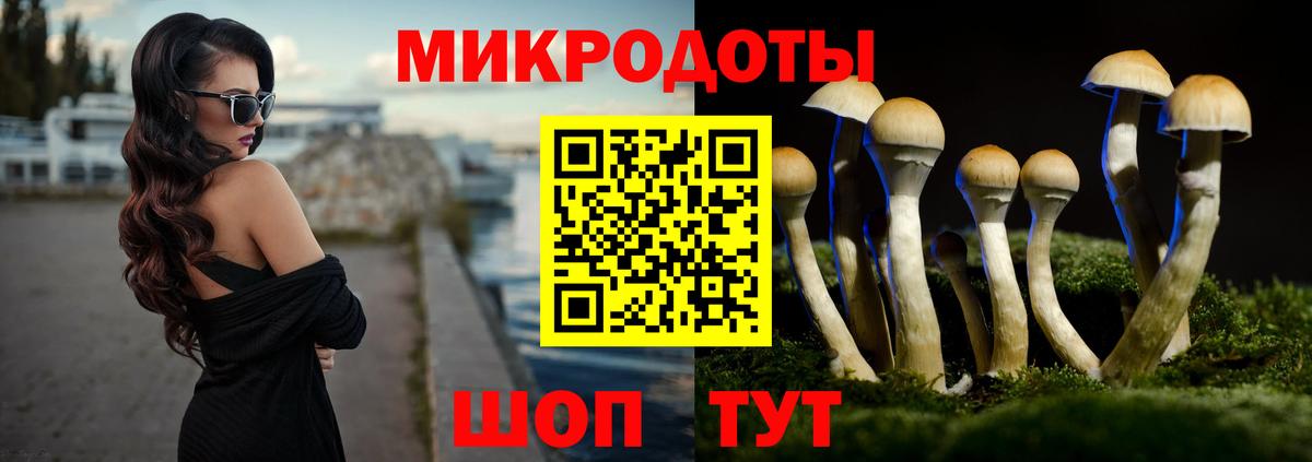 Галлюциногенные грибы мухоморы  хочу наркоту  Будённовск 