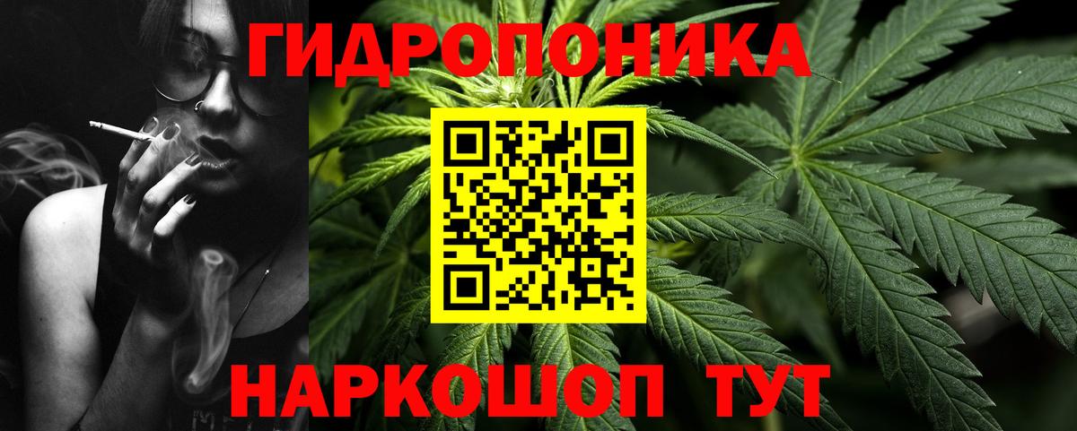 Бошки Шишки ГИДРОПОН Будённовск